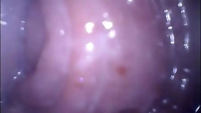 Inwards of the cunt orgasm