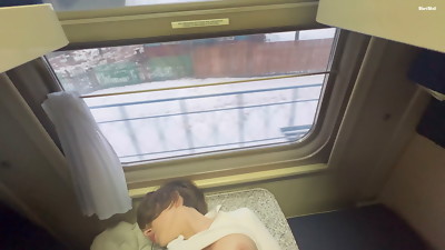 On the train, I picked up a chick with gigantic innate boobs