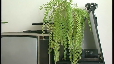 Auf der Pornocouch erst mal richtig gefickt