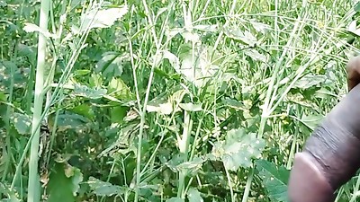 Hot Handsome Bhabhi Ko Dever Ne Sarso Khet Mein Bulakar Ki khub Chudai